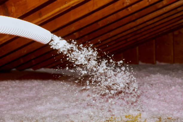 Best Insulation Removal  in Orem, UT