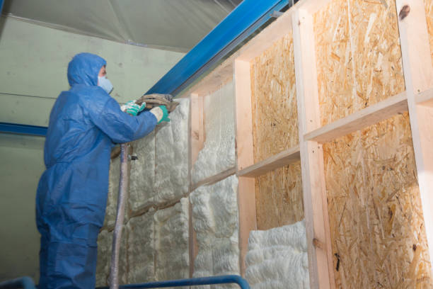 Best Cellulose Insulation  in Orem, UT